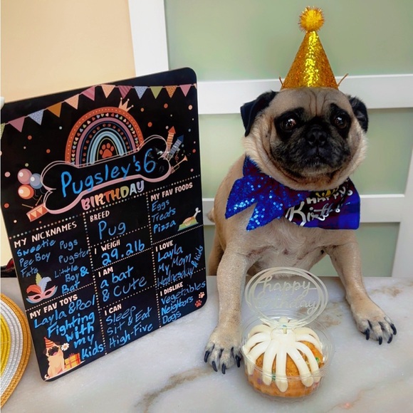 Meet your Posher, Lydia - Picture 14 of 17